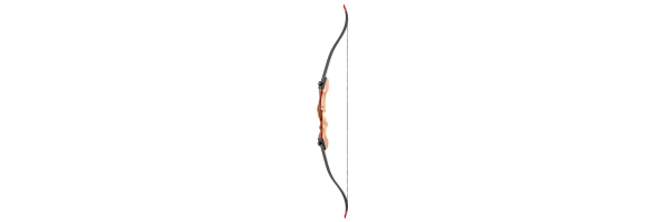 Recurve Bögen