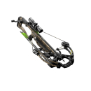 Armbrust Barnett Whitetail Hunter STR CCD