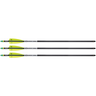 3 St&uuml;ck 20 EVO-X Center Punch Premium Bolzen mit Alpha-Brite Nocks