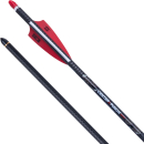 6 Stück 20 TenPoint Bolzen Carbon CenterPunch HPX