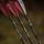 6 Stück 20 TenPoint Bolzen Carbon CenterPunch HPX