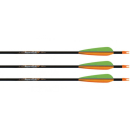 Easton PowerFlight Komplettpfeil 500