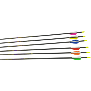 X-Line Rookie Carbonpfeil 1100