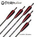 6 St&uuml;ck 14 Sphere Storm Armbrust Bolzen Carbon