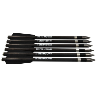 6 Stück 6,2 Steambow schwere Carbon Bodkin Bolzen