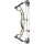 Compoundbogen Hoyt Torrex RTS Package CW 2023