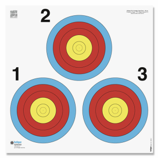 Scheibe 45x45cm mit 3er Ampel im Dreieck angeordnet