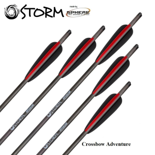 6 St&uuml;ck 22 Sphere Storm Armbrust Bolzen Carbon