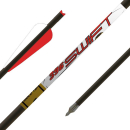 6 St&uuml;ck 22 GoldTip Swift Armbrust Bolzen Carbon