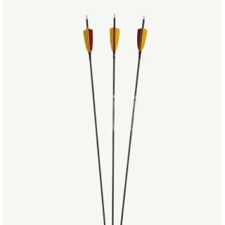 Carbonpfeil Penthalon Slim Line Black m. Naturfedern 1000