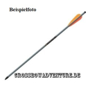 Easton 2117 Pracx Komplettpfeil 30